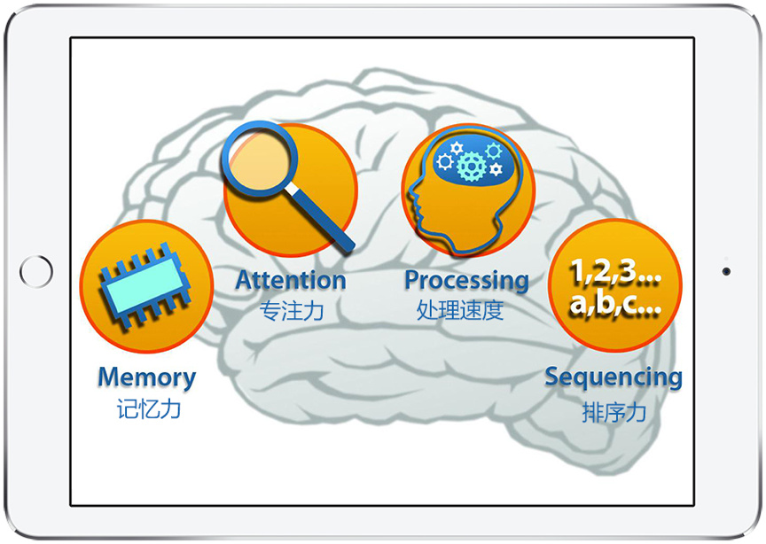 脑科学翻转课堂规划赴美上市的大脑地图这样教英语