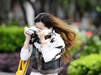 内附大风天生存指南