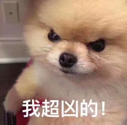 狗狗突然咬你一口,一会儿又过来黏你,有可能是这4种原因!