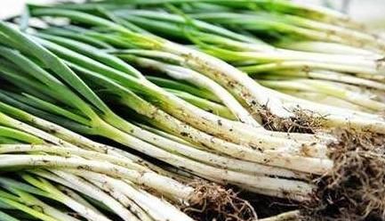 炒菜时,葱姜蒜不要随便放,注意这几点,炒出的菜更入味!