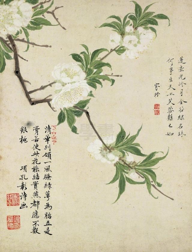 《花卉十开》:项圣谟花鸟画册页精品