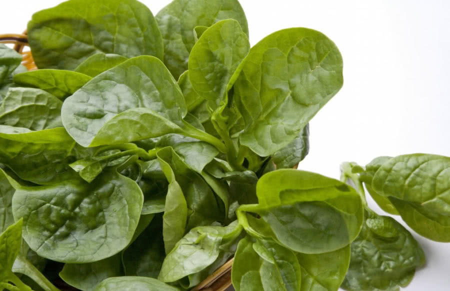 南方特有的5种蔬菜这些北方人全不认识有很多你吃过几种