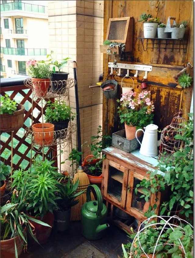 想要一个小院子,花开花落一辈子