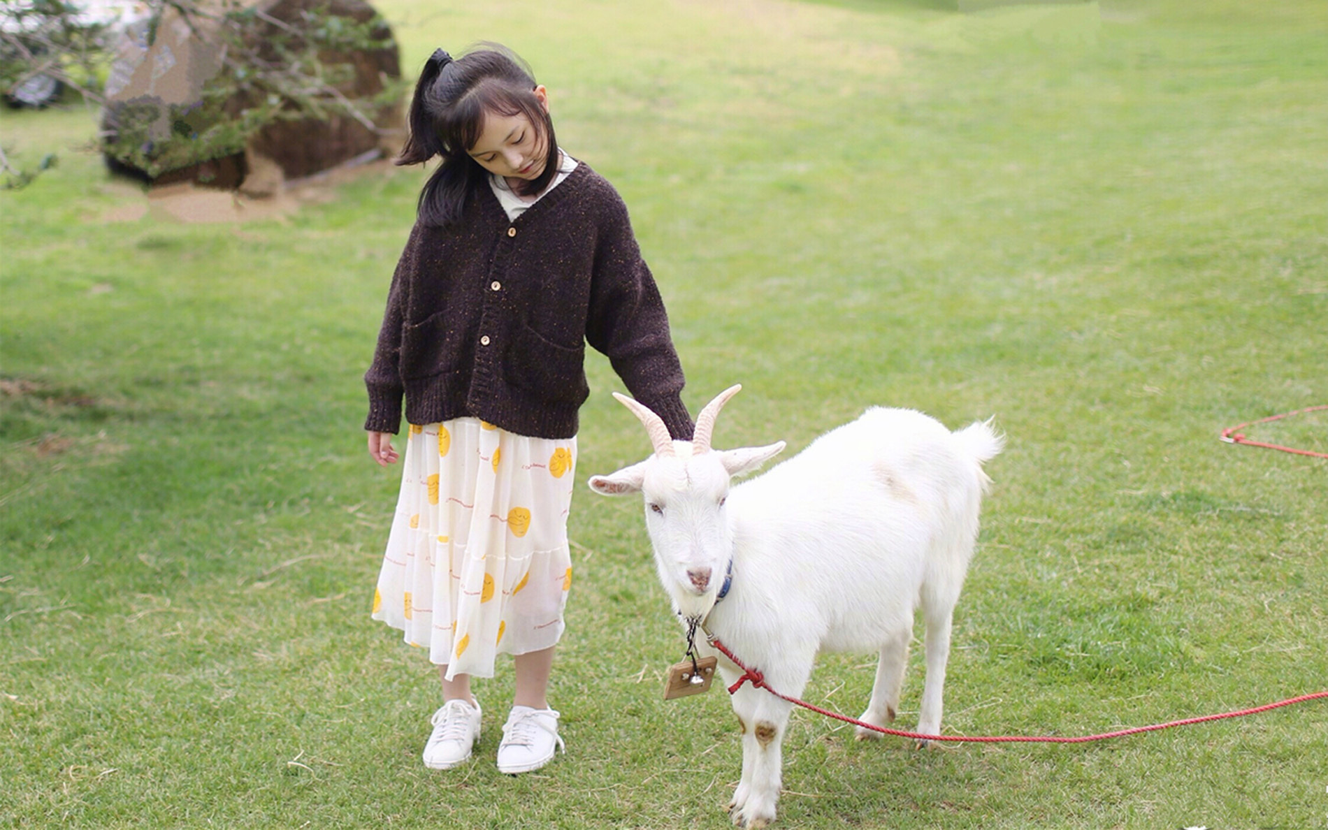 9岁刘楚恬私服清新又简单,森女风竟比模特还好看