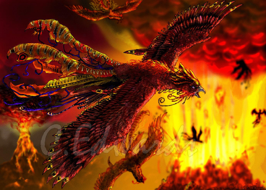 上古神话十大神鸟最强的与鸿钧老祖平辈凤凰比它们弱太多了