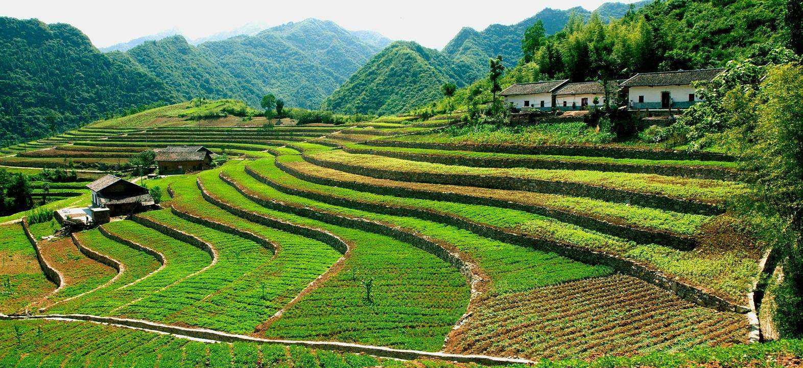 今年农村的土地又有哪些新变化?农民朋友们都该心里有数