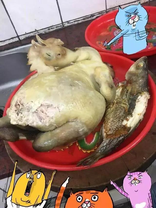 猫咪偷吃被发现,理直气壮:就是我干的怎么了?