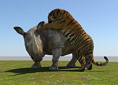 成年犀牛与老虎同归于尽,场面相当凄惨,背后真相让人吃惊