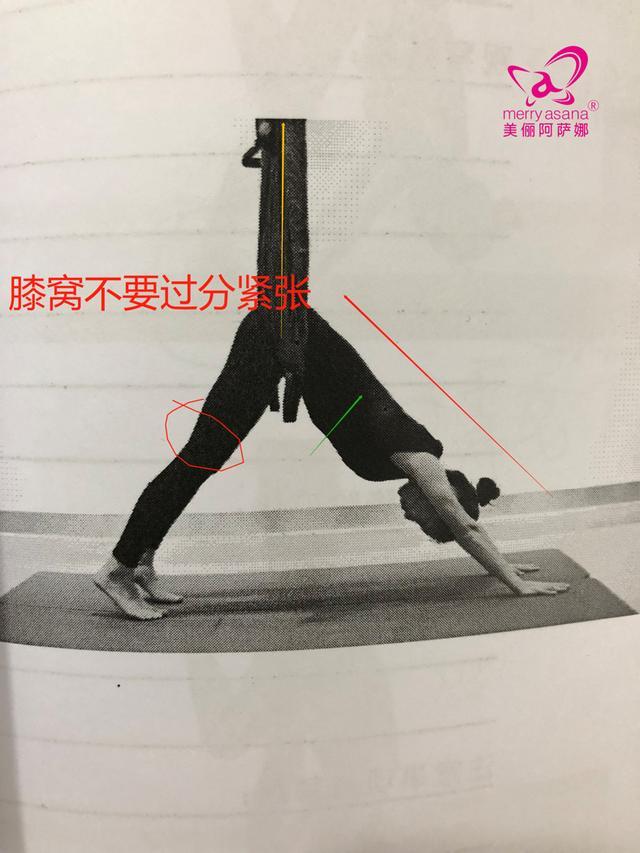 空中瑜伽之脊柱的扭转美人鱼侧弯脊柱的伸展体式干货