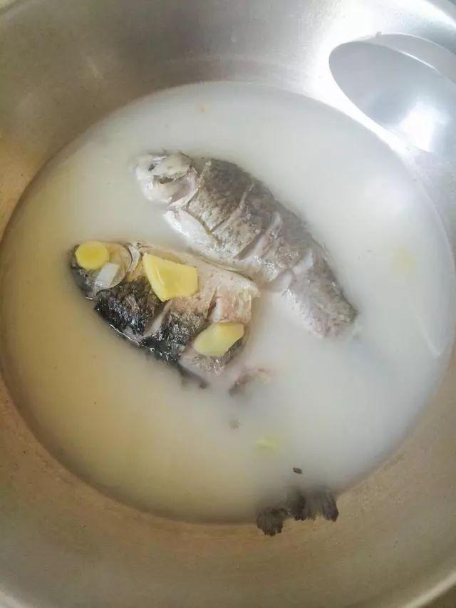 15款鱼汤的做法汤白如奶喝完一碗又一碗学到就是赚到