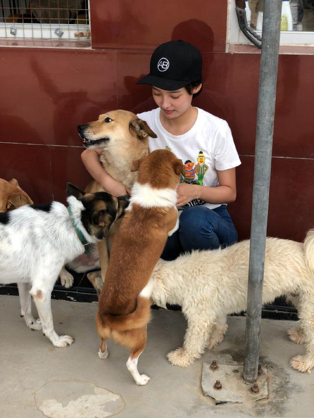 林源来到动物小院做义工,近日说出了自己这几