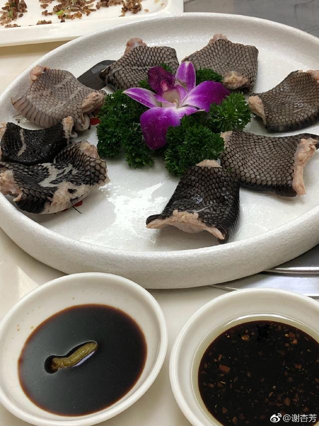 前羽球冠军谢杏芳晒吃蛇肉照片,网友直呼不敢吃,林丹未露面