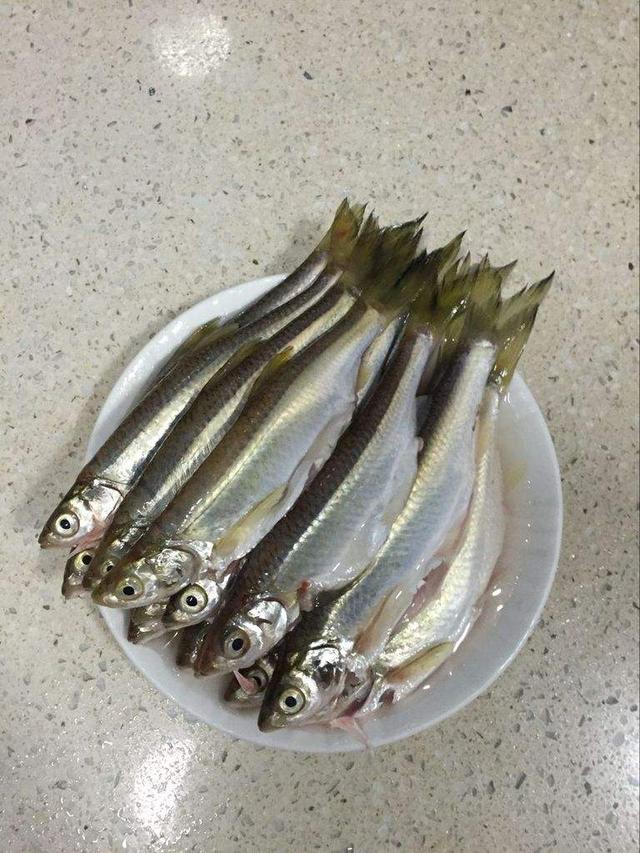 京东白条逾期协商电话 逾期还款怎么沟通解决