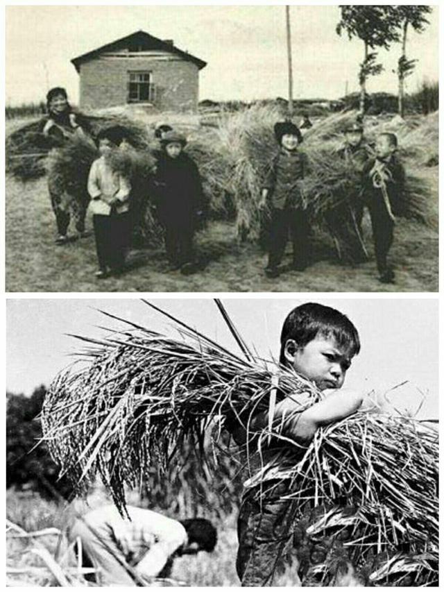 六七十年代农村的集体记忆,这些老照片你不一定见过|记忆|农村|农民