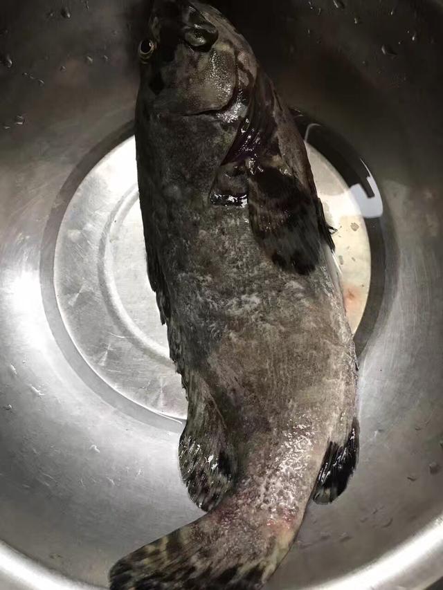 石斑鱼的20种做法味道非常鲜美想吃赶紧下厨试试吧不后悔