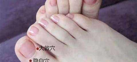 益气统血寻隐白——隐白穴！|益气|艾灸|穴位_新浪新闻