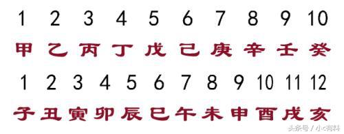 在古代,十二地支都代表了什么?子、丑、寅、卯、辰...