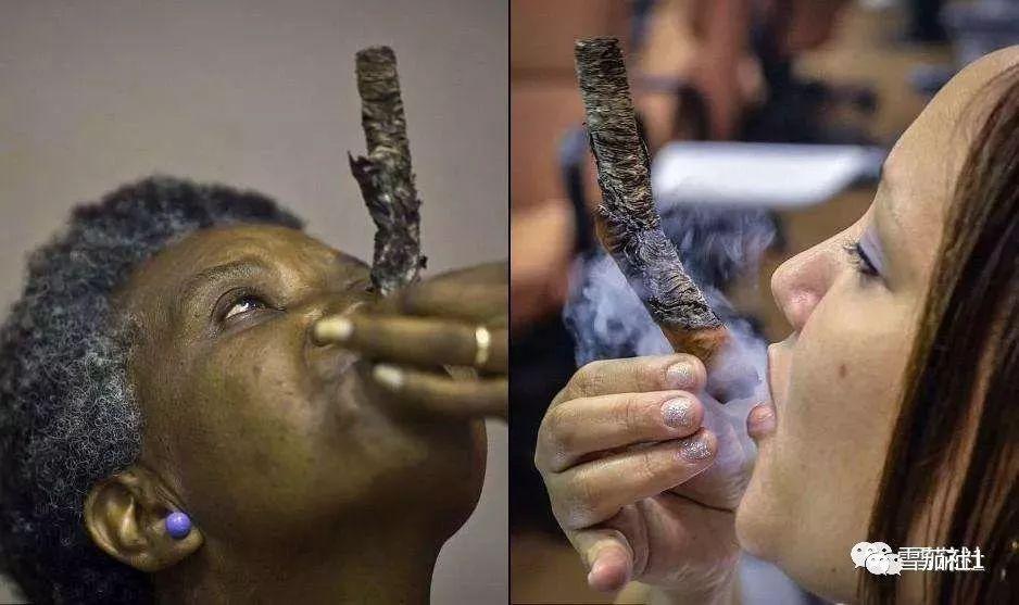 告诉你雪茄为何不能入肺雪茄背后的热力学原理