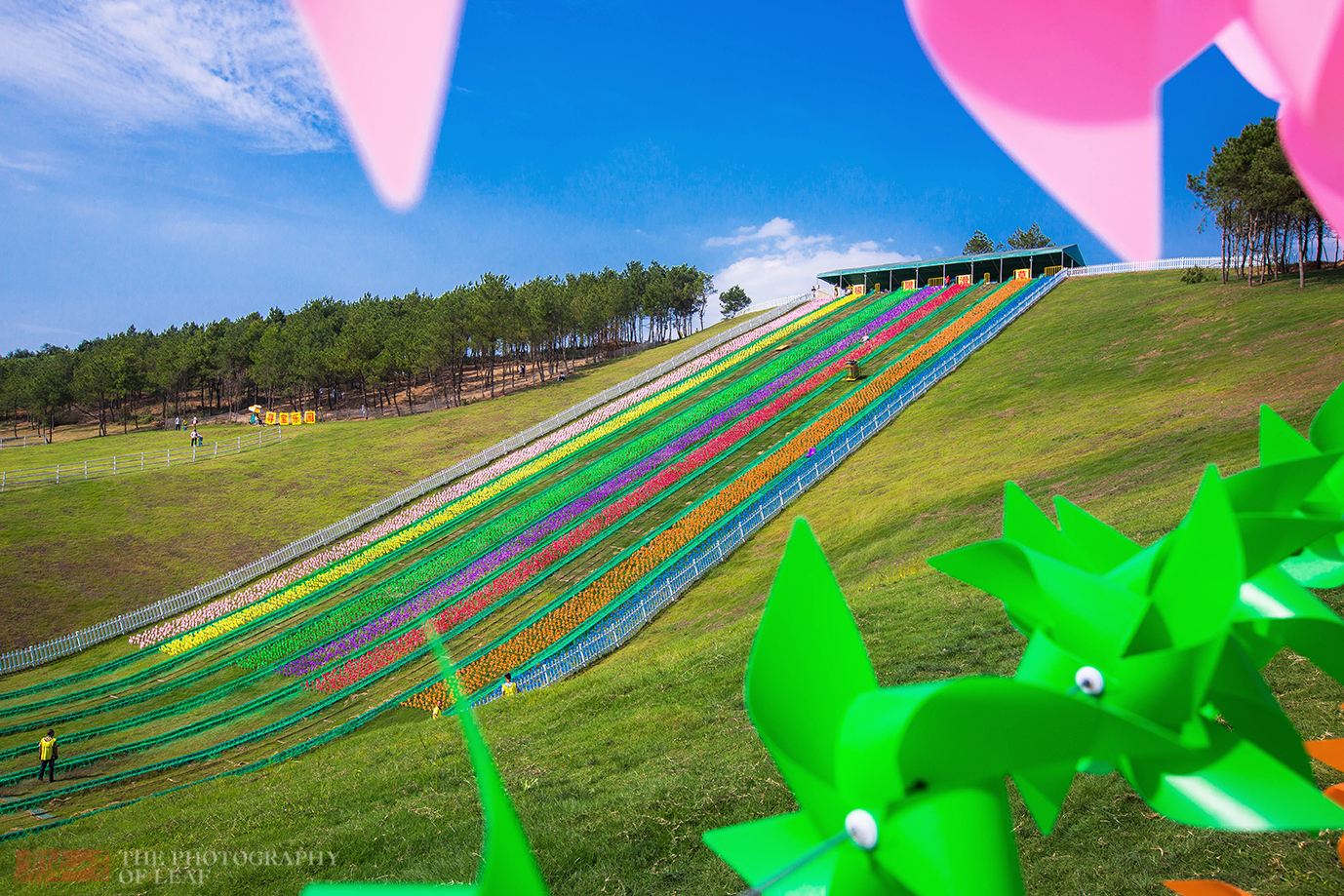 这条百米极速滑草道从山上到山下最快只需8秒你敢玩吗