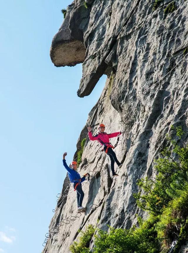 春风十里,我想约你!女神节一起来南阳五朵山爬山吧!