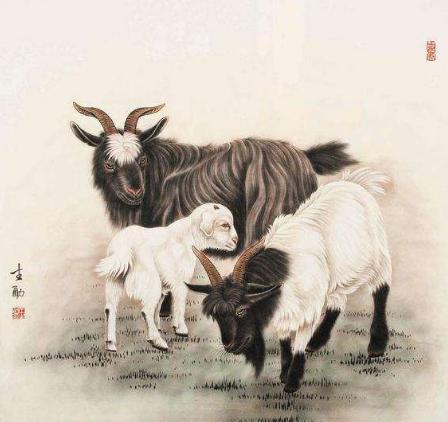 1967年羊,生活上总算可以大笑了!"苦命羊"后20年怎么样!