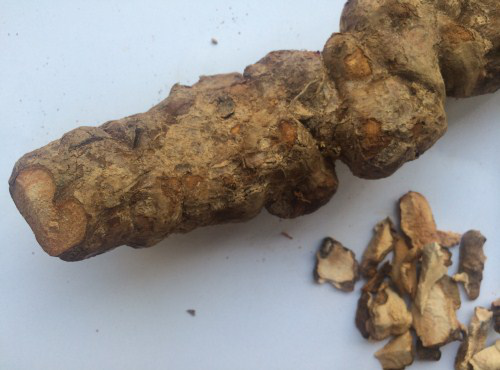 土茯苓又被称作过山龙,刺猪苓等,在中国的很多省份都有见到,一般人们