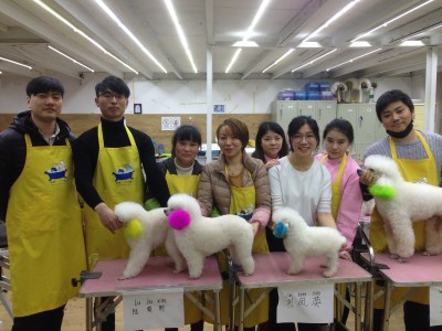 宠物美容行业求职指南：寻找你的理想岗位