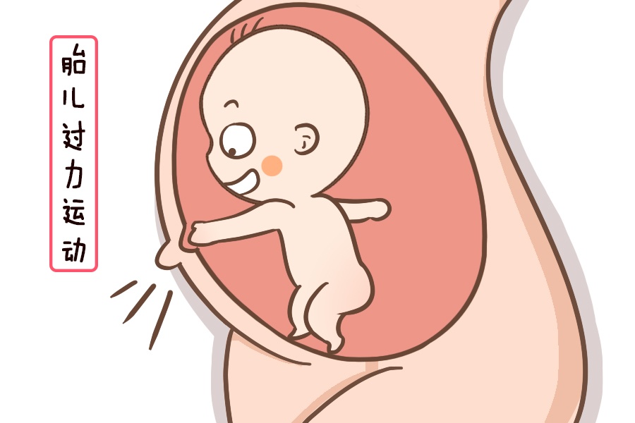 肚脐|孕妈|胎儿_新浪新闻