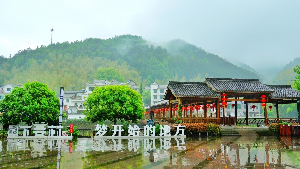 浙江这个贫困村受到四任省委书记重视如今成为远近闻名的网红村