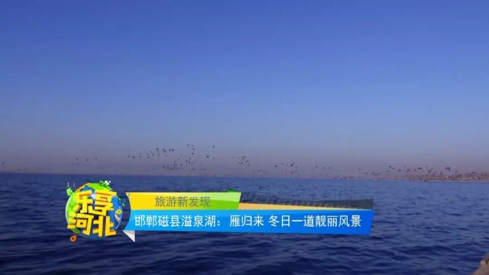 邯郸磁县冬日又添靓丽风景溢泉湖上雁归来