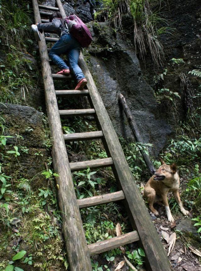 湖南一个偏僻的悬崖村,孩子上学要爬天梯,而且梯子还是木头做的