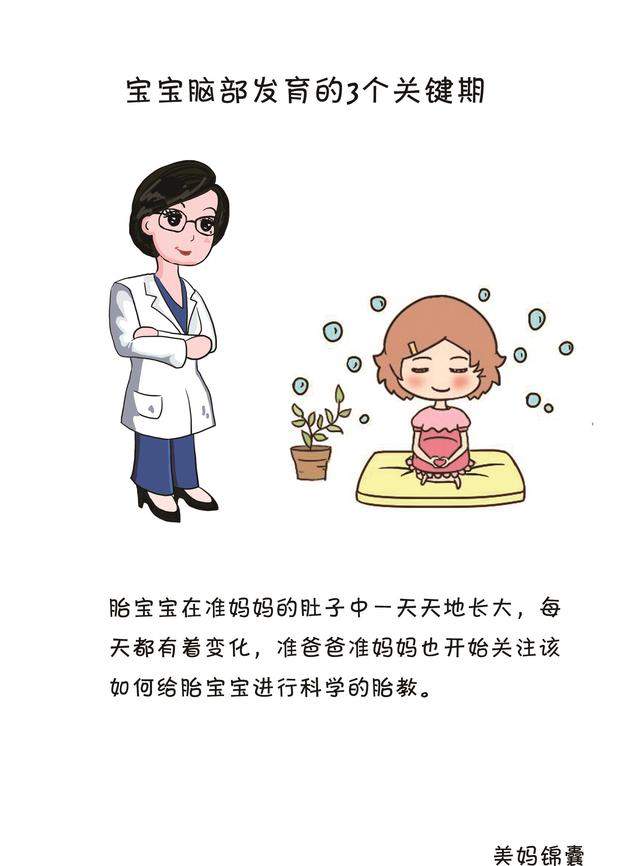 要想宝宝聪明要把握好宝宝脑部发育的三个关键期