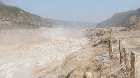 455_254gif 动态图 动图