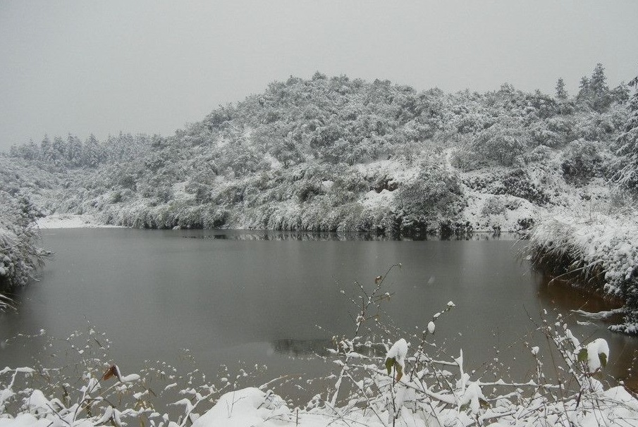 《江雪》——绝美雪景看诗人如何引人入胜|江雪|柳宗元|诗人_新浪新闻