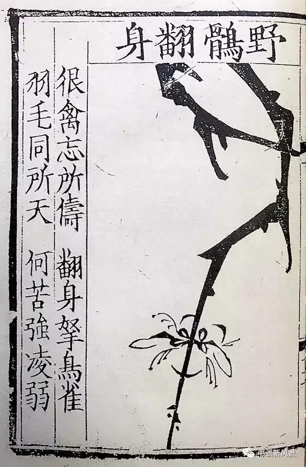 极简画梅神谱!传世孤本,如沐春风!|梅花喜神谱|画谱|佛顶珠_新浪新闻