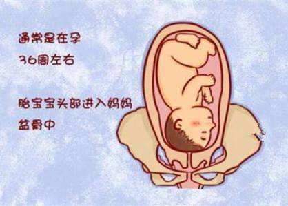 女性在怀孕38周左右的时候,此时胎宝宝的身上可能会长达52厘米左右