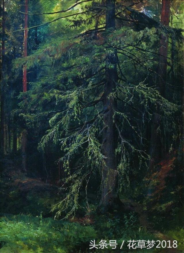 ivanishishkin森林风景油画