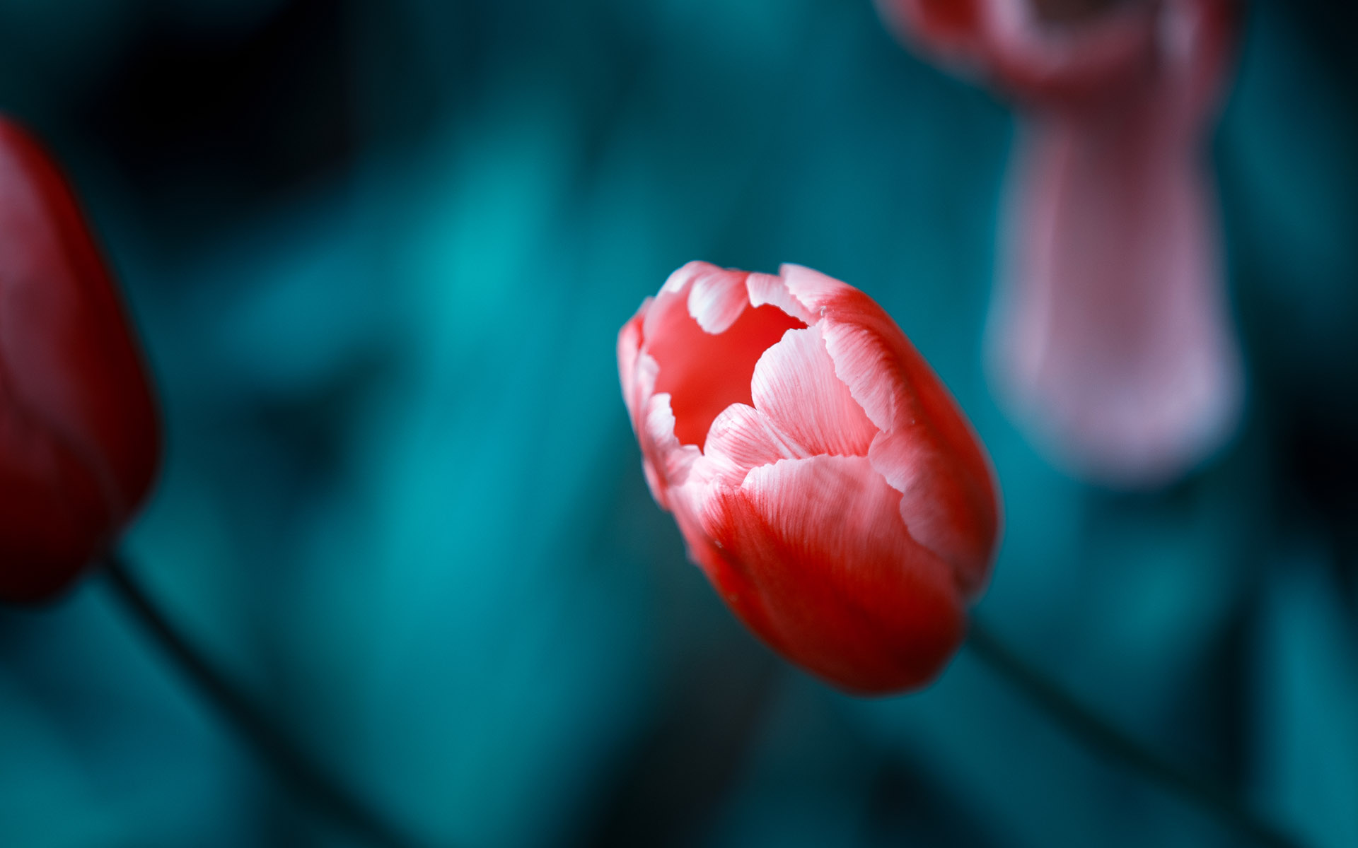 10月中秋节后财运大涨,3大生肖贵人相助,偏财不断有望翻身!