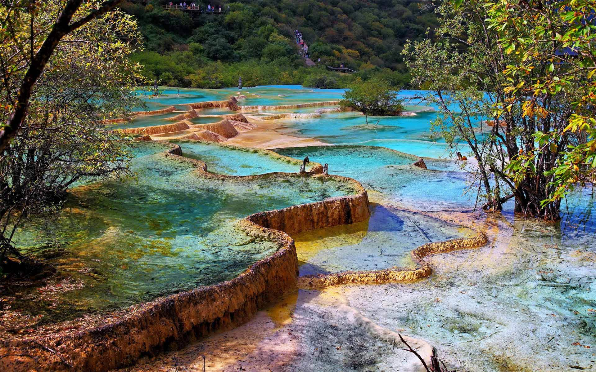 是中国第一个以保护自然风景为主要目的的自然保护区,主要保护的对象