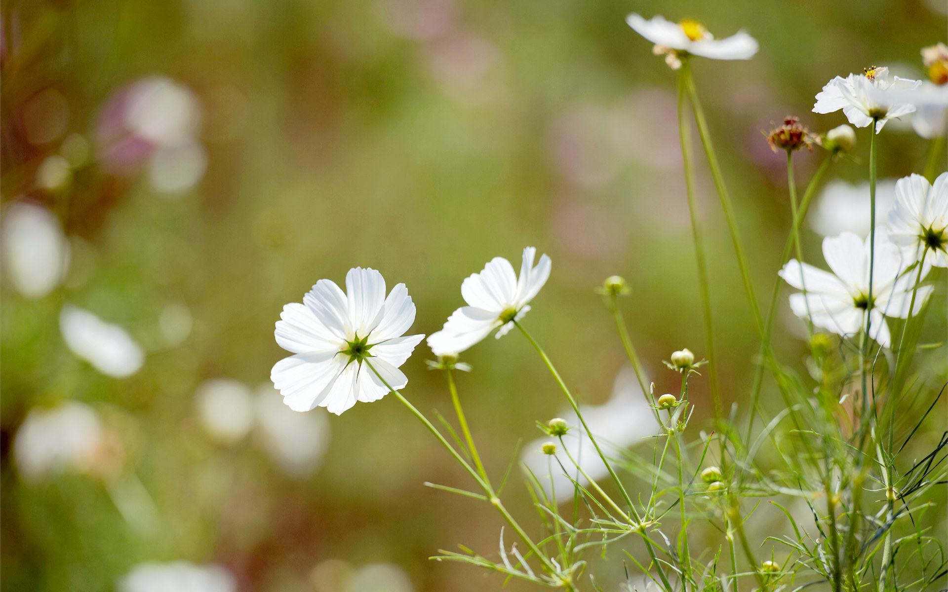 中考数学填空题,学会这三种解题方法和技巧,提高解题效率