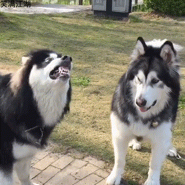 一哥们儿说:卧槽,这几天不是要血流成河吗?大家窃笑.谁知道一年轻萌妹