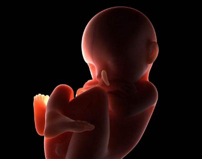 怀孕后,胎宝宝在妈妈肚子里有这2个表现,出生后会非常淘气