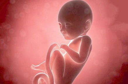 妈妈别担心,腹中胎儿是否健康,宝宝几个小信号可以了解