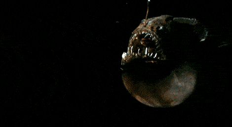 海底的"深渊恐惧",反正深海看不见,大家就随便长长咯~|深海|牙齿|生物