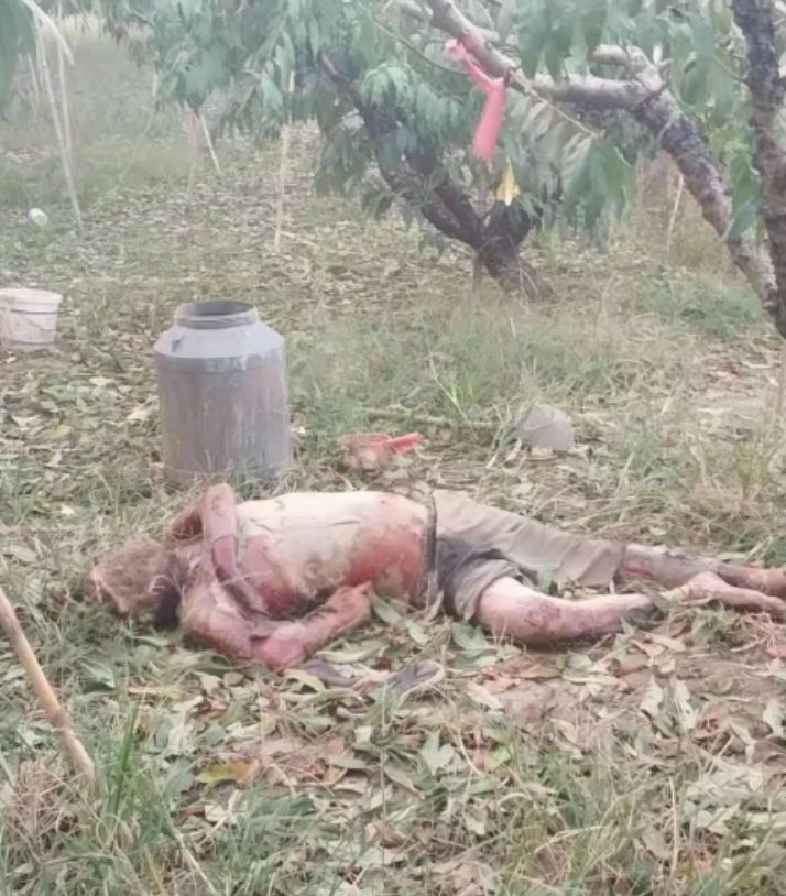 紧急扩散!武进发现一具无名男尸,家属快来认领