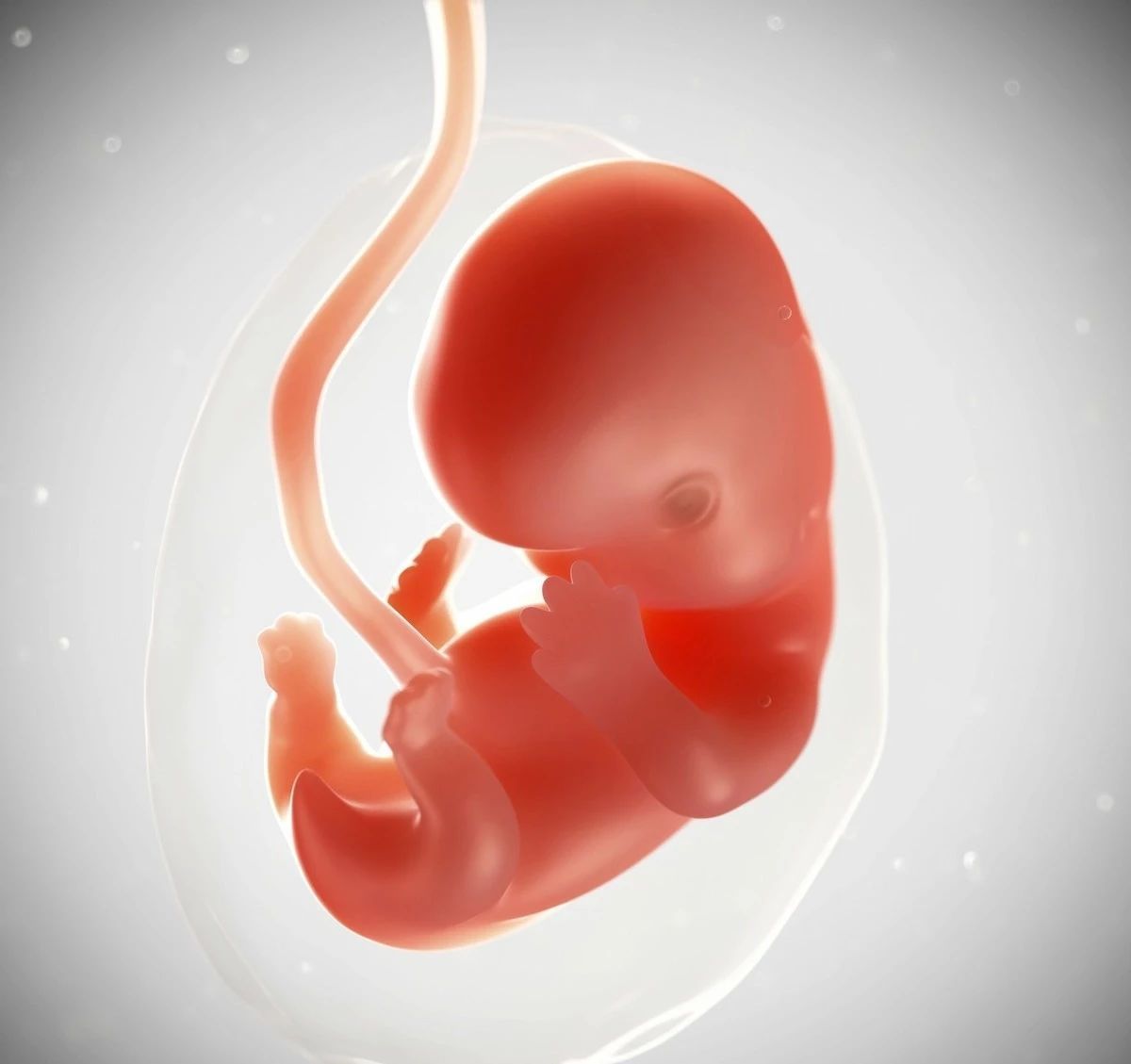 剪断脐带那一刻妈妈和宝宝会感到痛吗?宝宝脐带了解多少?