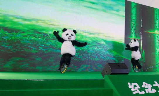 不仅有现场单车,爬竹竿,双人单车等熊猫杂技表演,为现场嘉宾呈现一幅