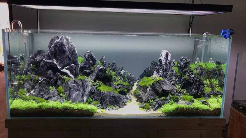本色水景2018长城杯大缸组79名作品青云涧水族水草造景缸培训