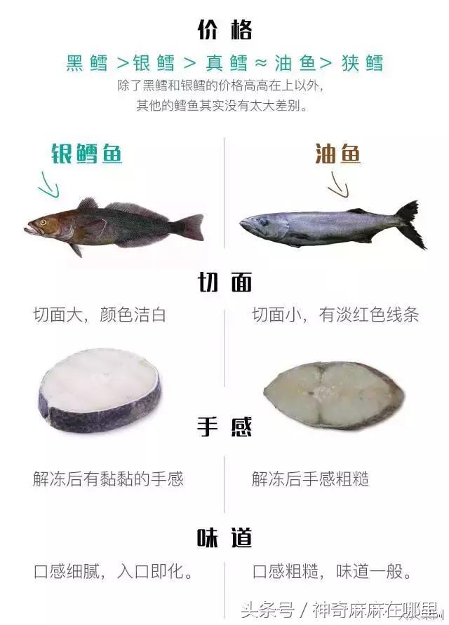 鱼松|鱼|鳕鱼_新浪新闻