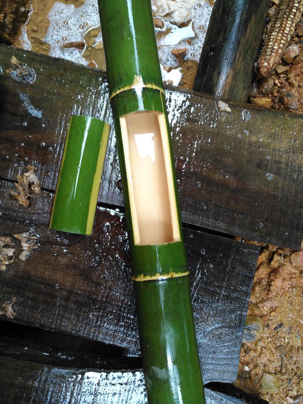 农村小伙巧用竹子自制竹筒饭,不为赚钱,只为乡村乐趣,知否